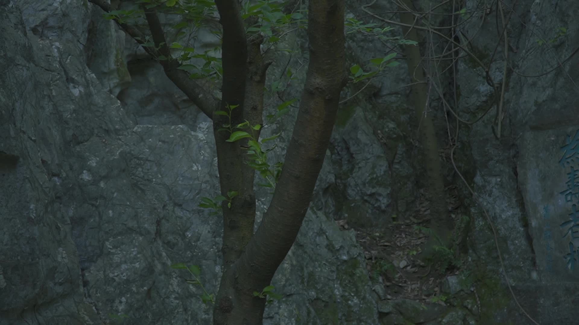 杭州吴山景区瑞石山摩崖石刻群视频的预览图