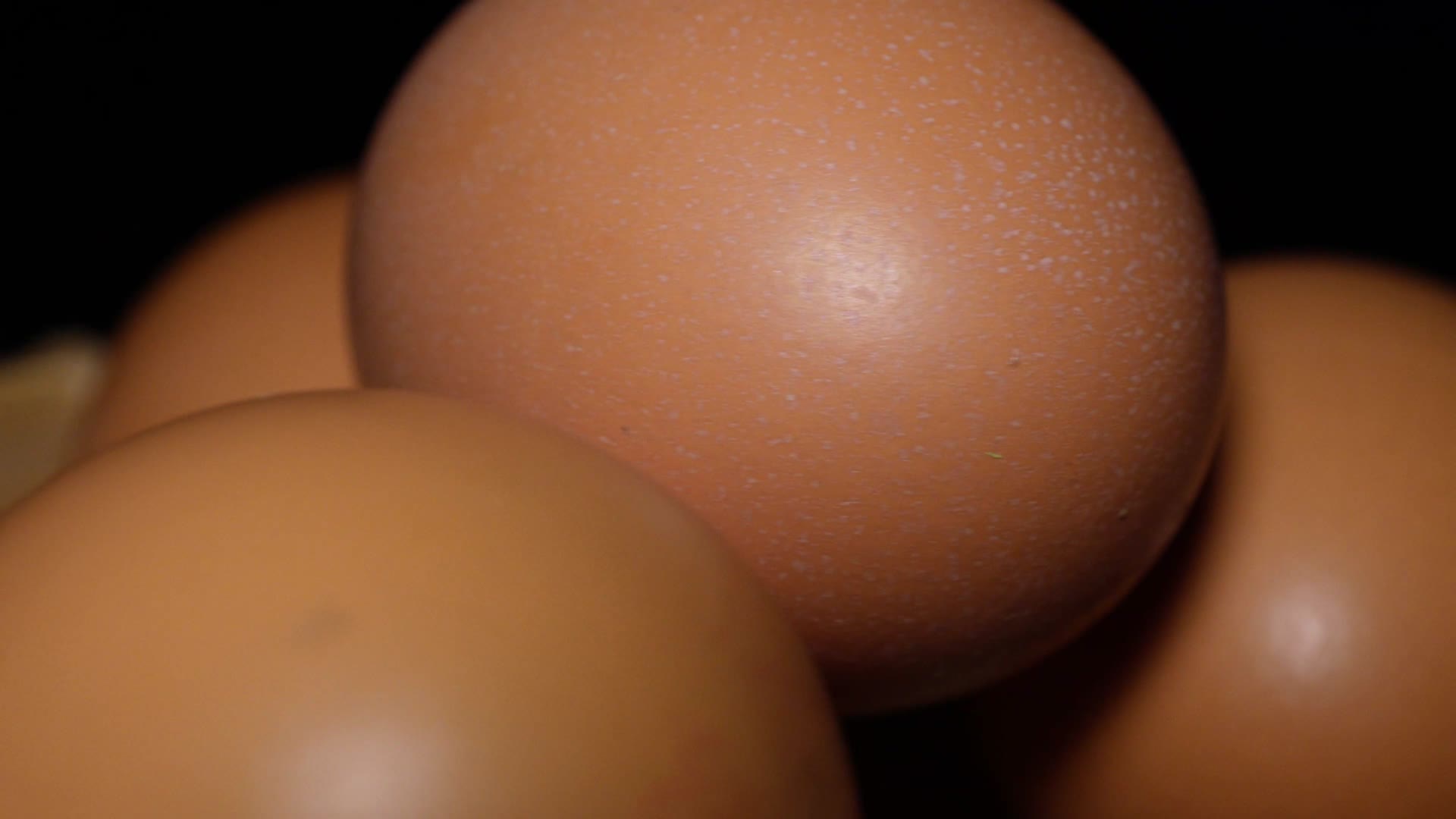 鸡蛋红皮鸡蛋鸡子蛋白质视频的预览图