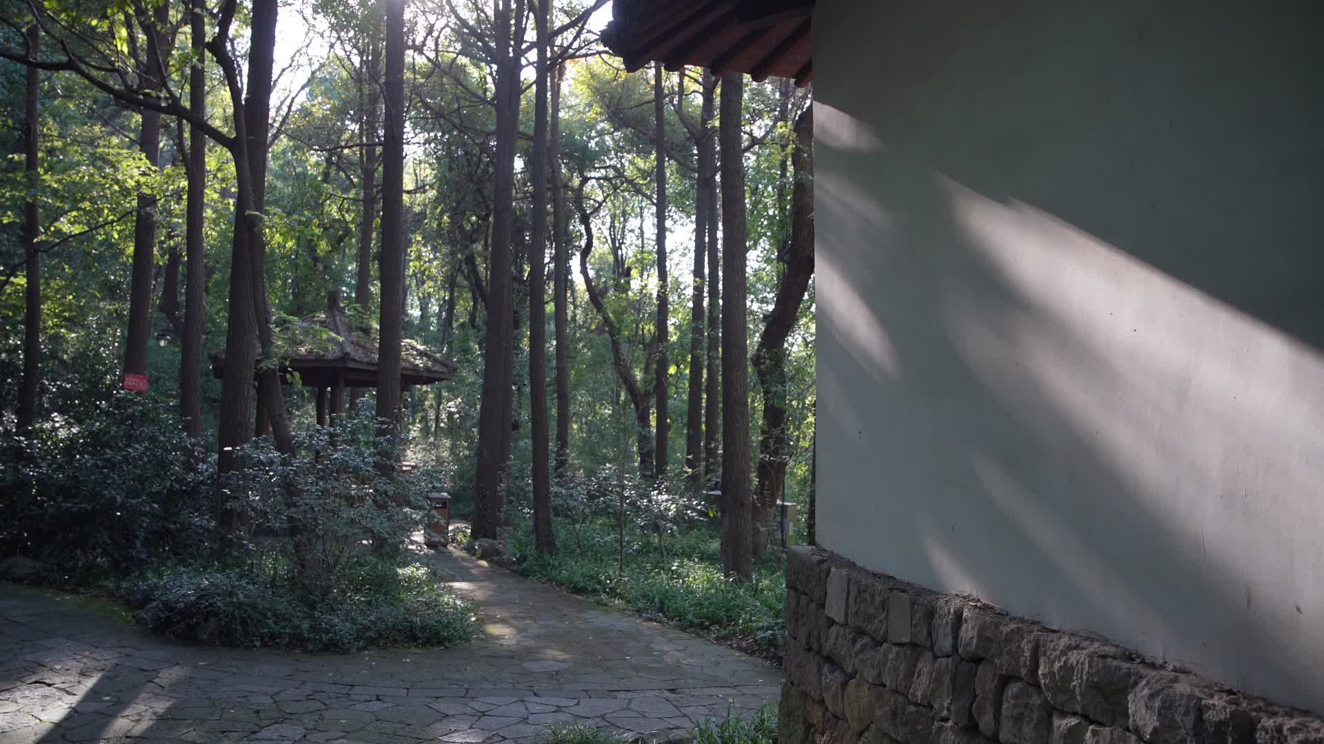 杭州吴山景区三茅观遗址视频的预览图