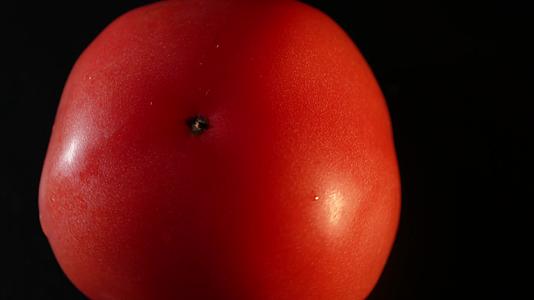 镜头合集黑场整个番茄表皮视频的预览图