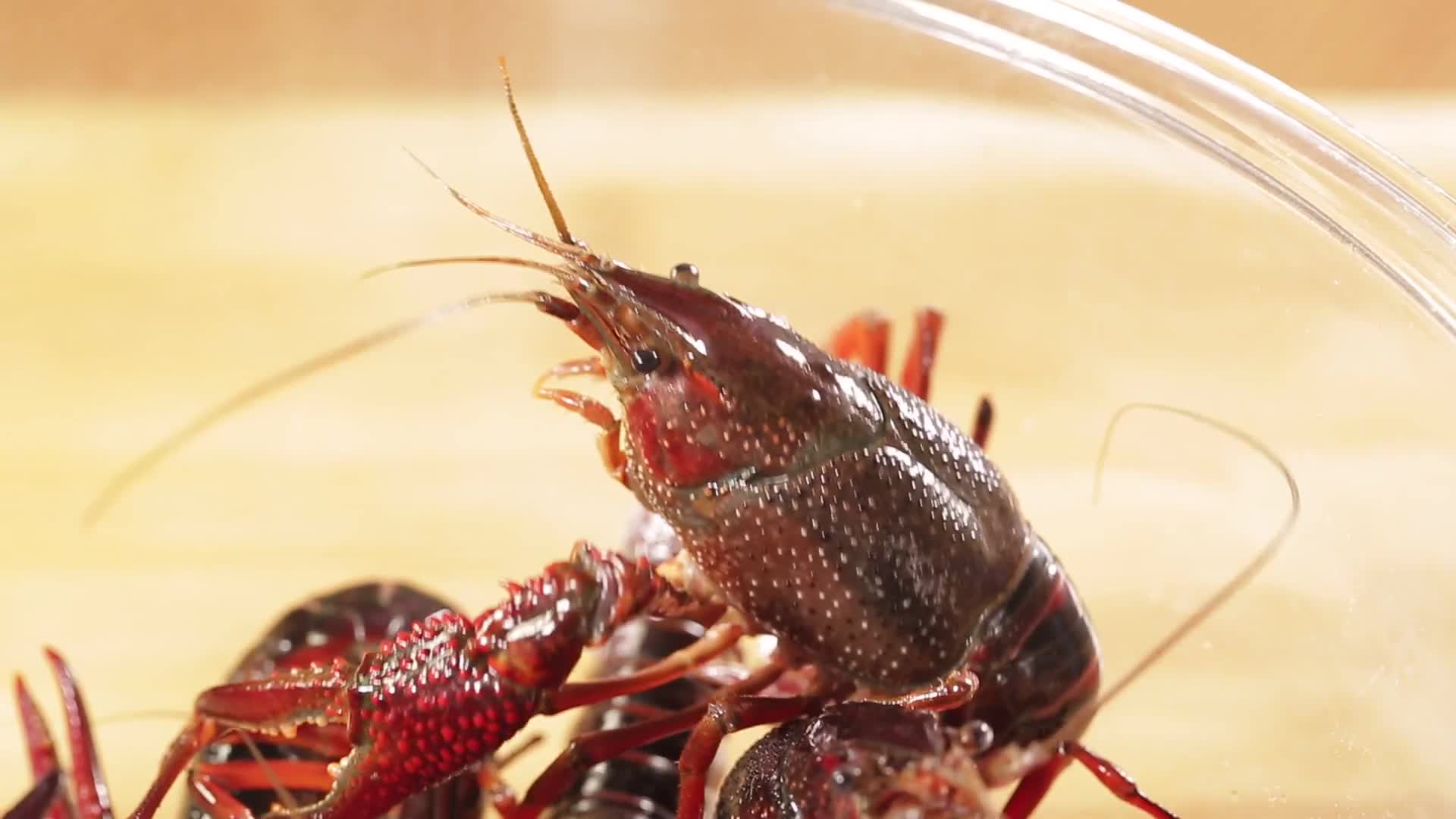 镜头合集购买流行大排档美食小龙虾视频的预览图