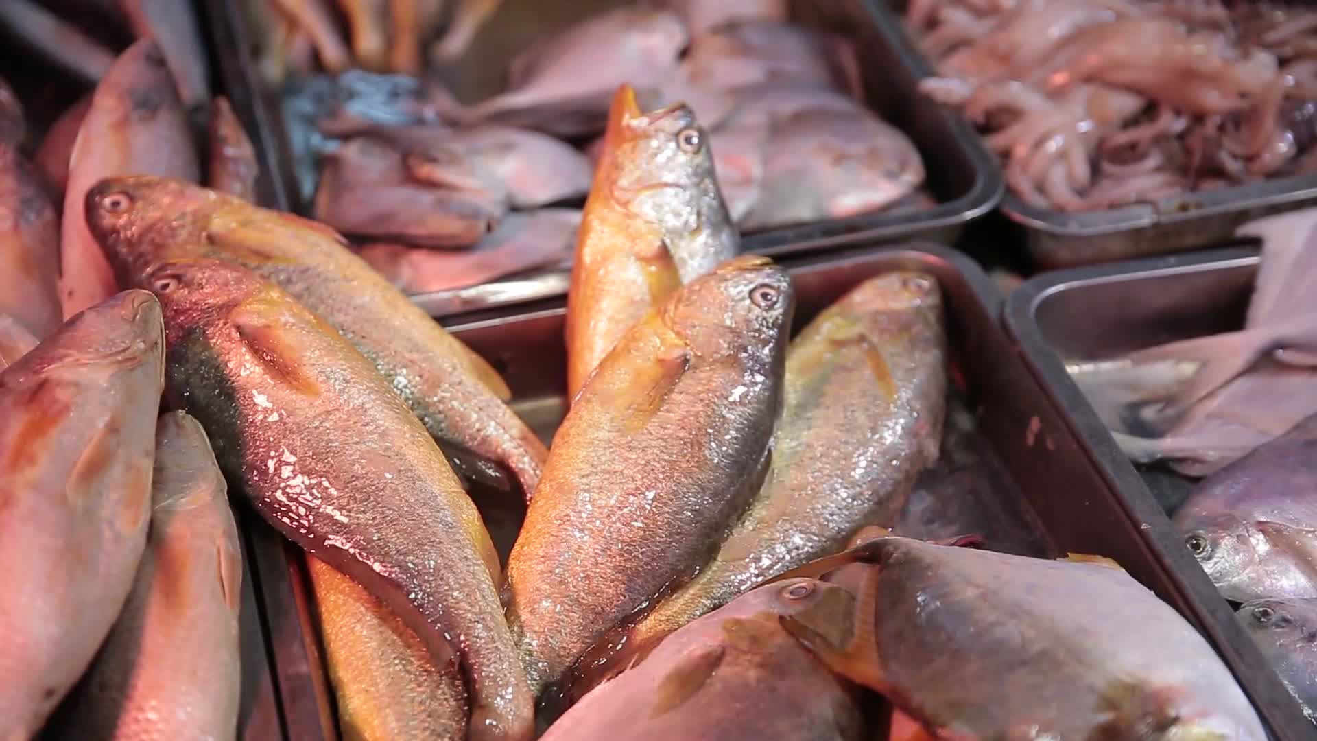 镜头合集海鲜市场购买黄花鱼视频的预览图