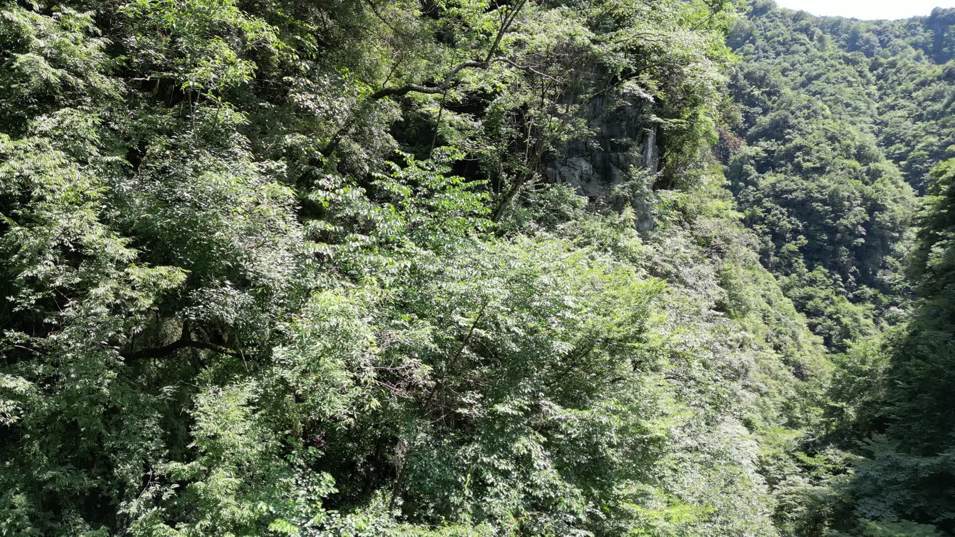 湖北神农大峡谷4A景区航拍视频的预览图