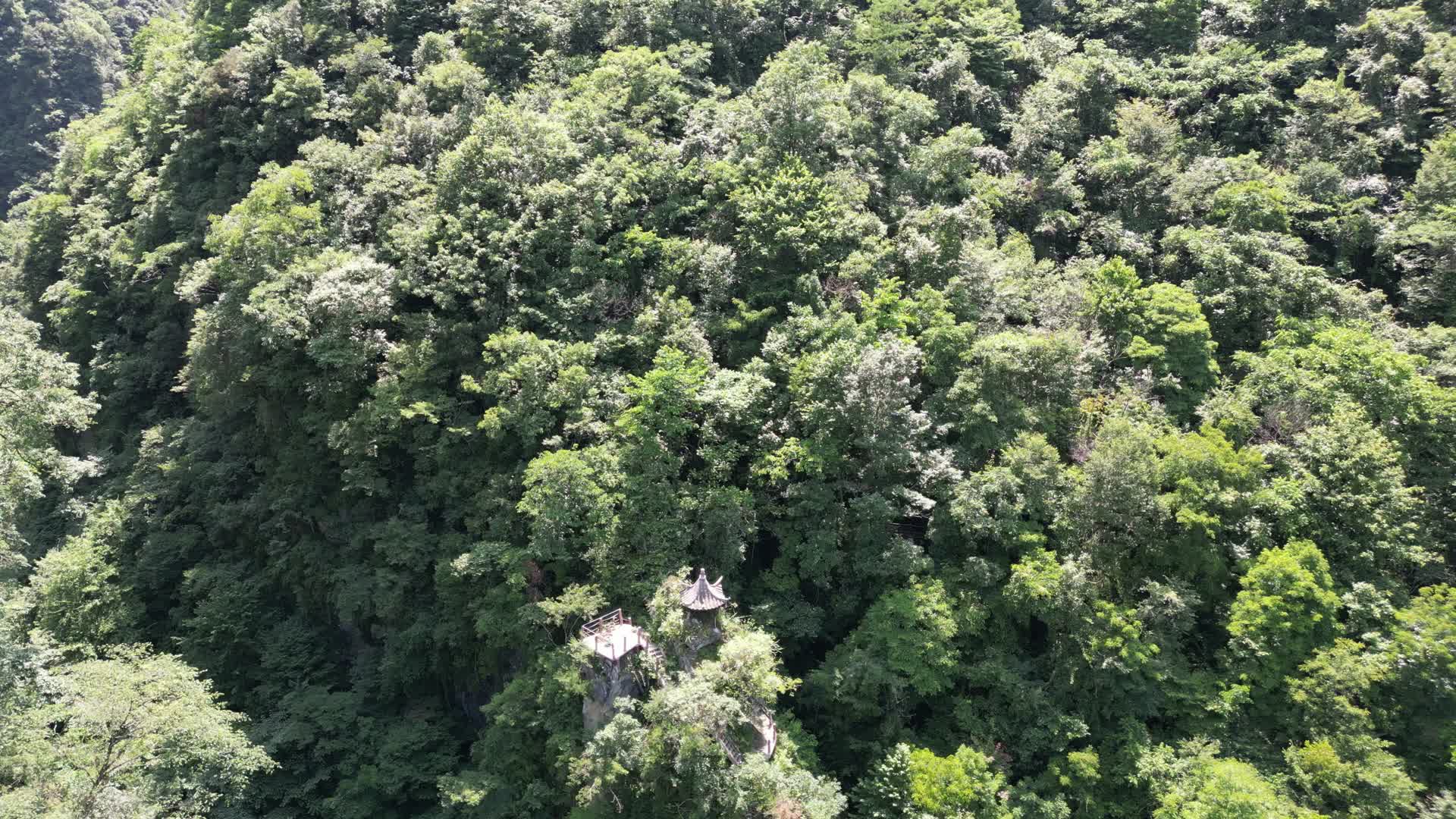 祖国大好河山湖北神农架原始森林航拍视频的预览图