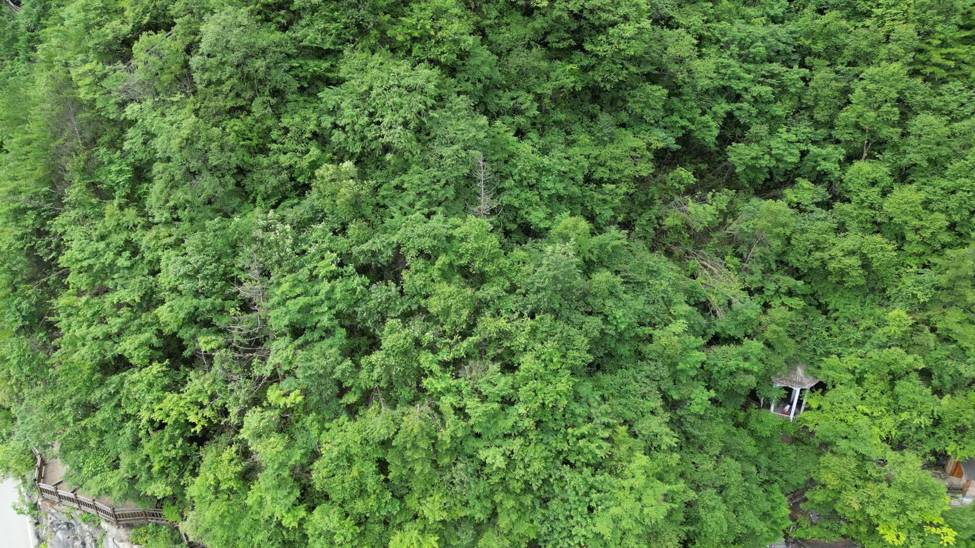 湖北神农架5A天燕景区航拍视频的预览图