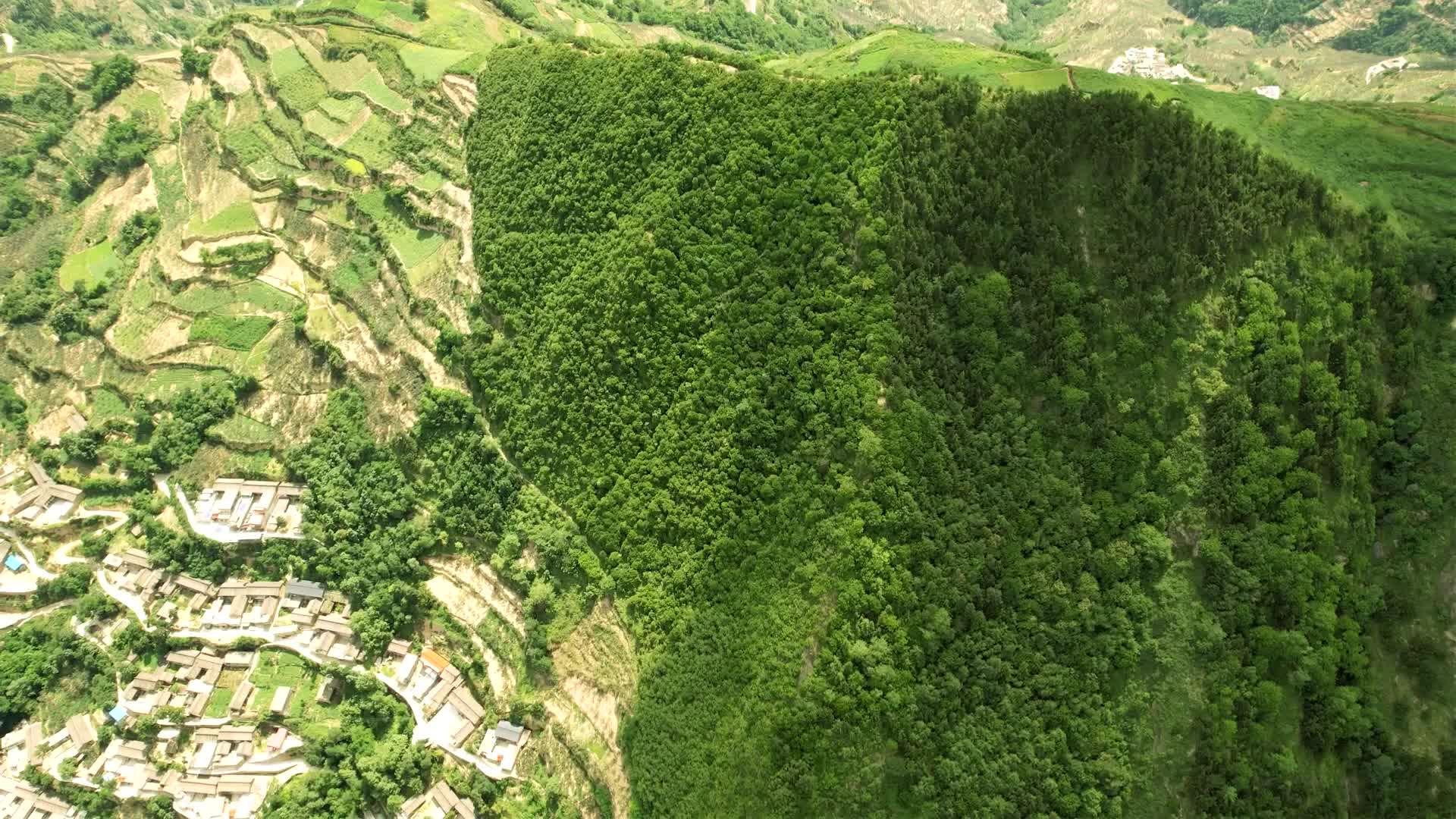 陇南武都郭河乡绿树成荫的紫泥山视频的预览图