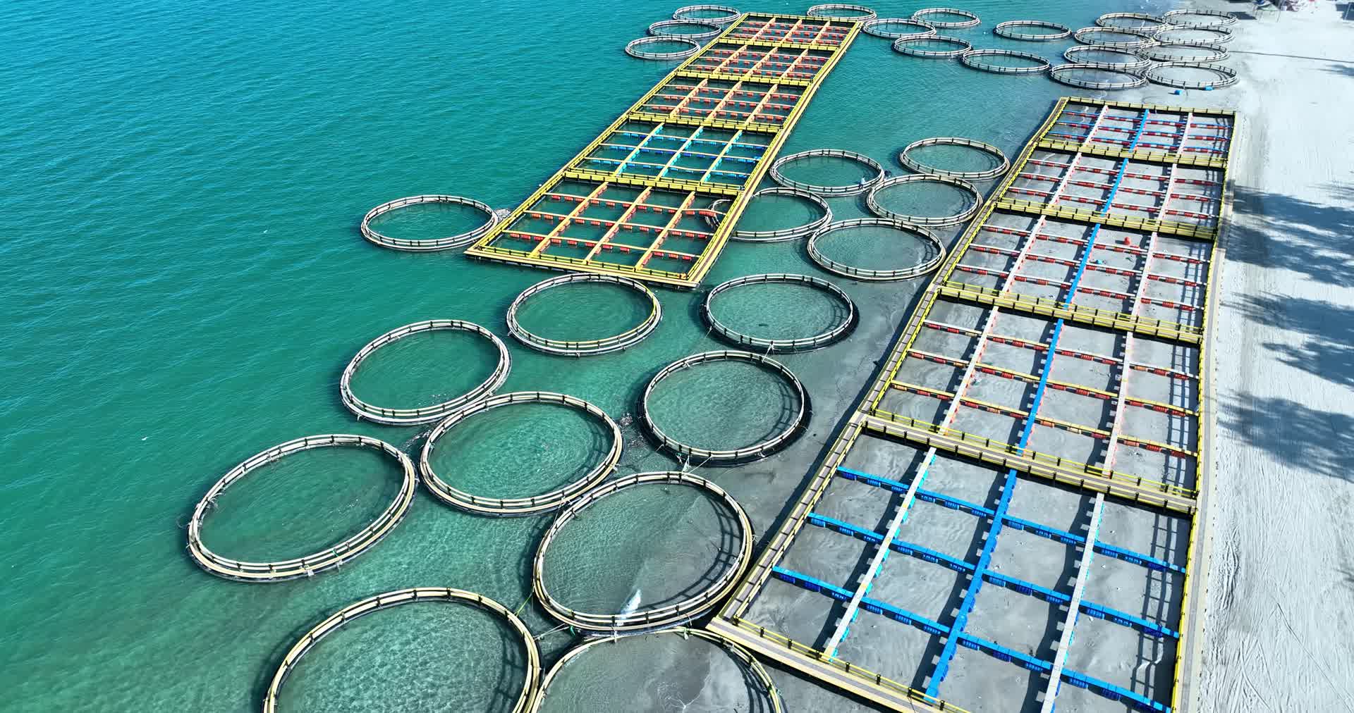 海水清澈的养殖场视频的预览图