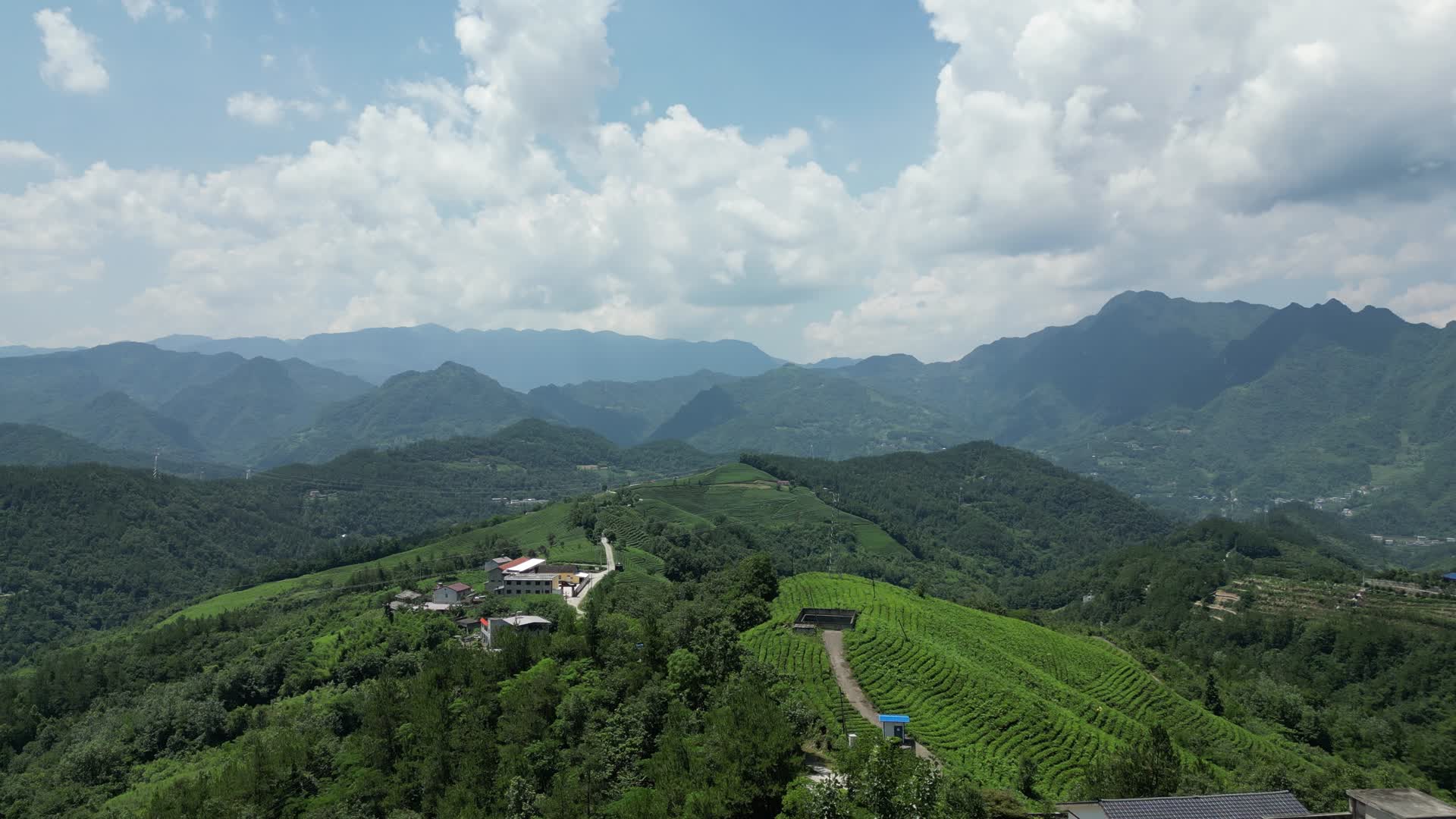 航拍高山茶叶种植基地视频的预览图