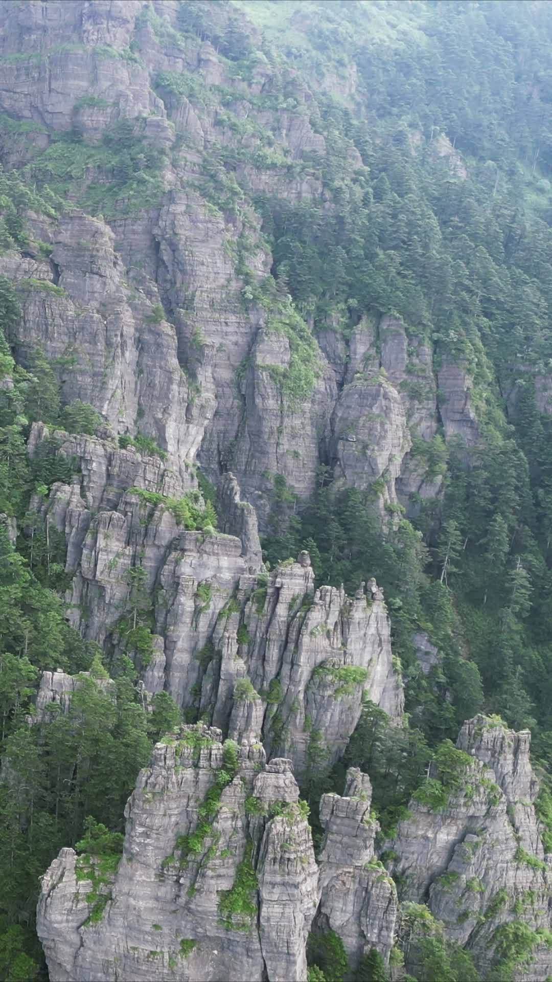 航拍湖北神农架5A景区石林视频的预览图