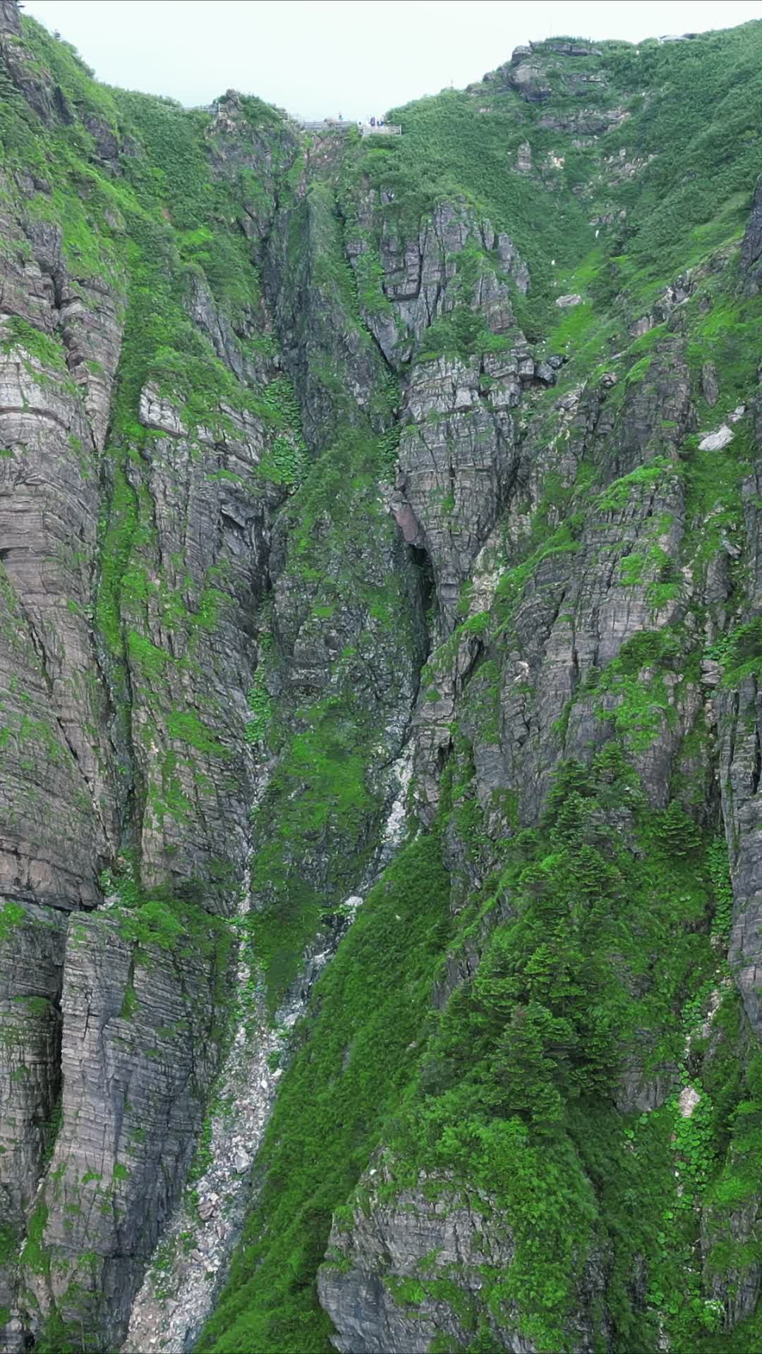 湖北神农架神农谷竖屏航拍视频的预览图