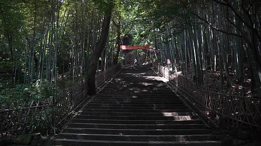 杭州西湖宝石山景区视频的预览图
