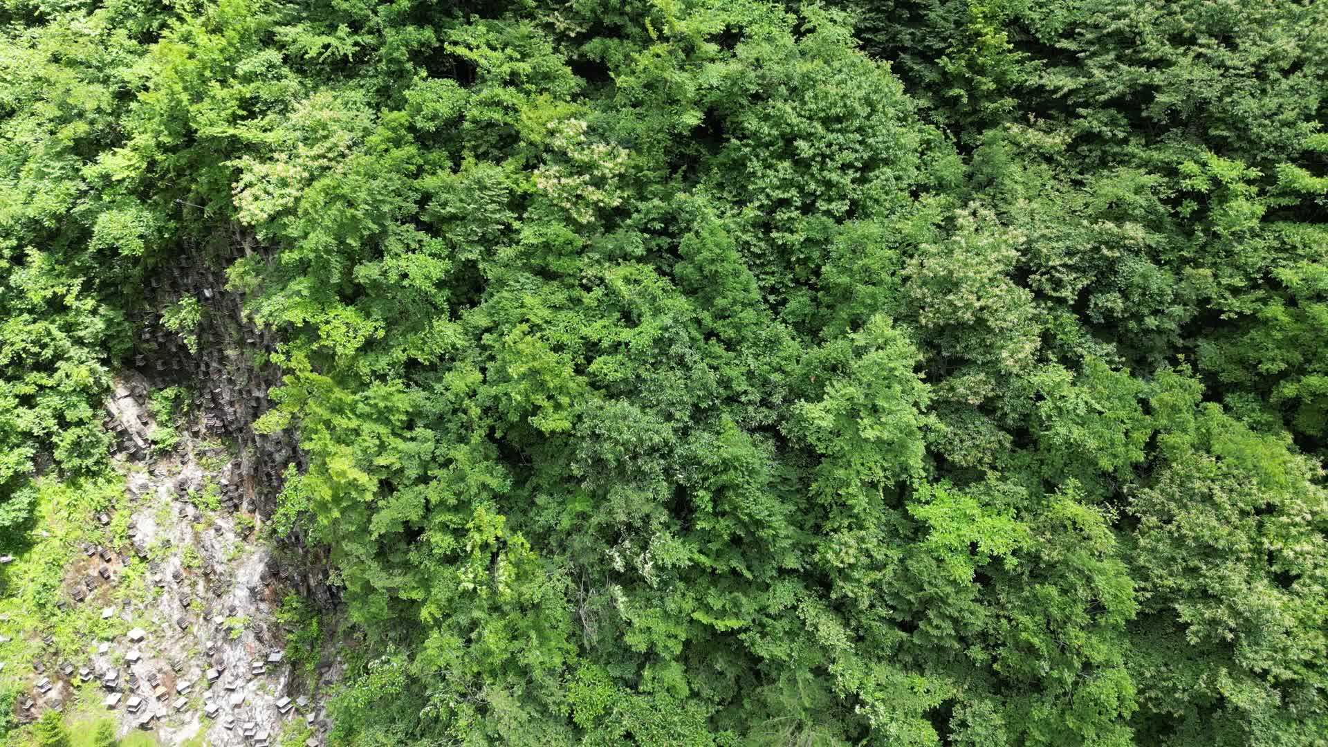 航拍湖北神农架5A景区官门山视频的预览图