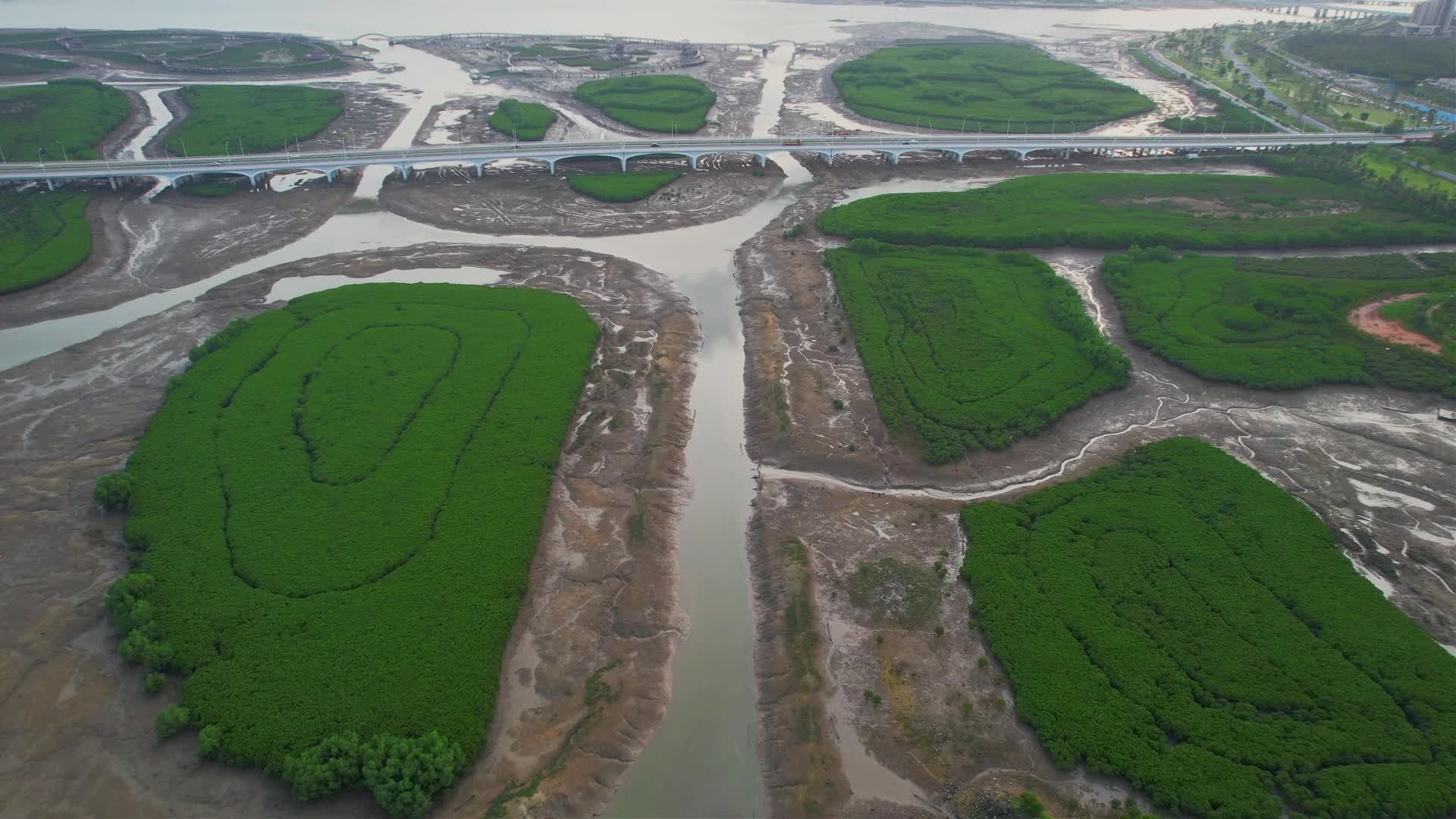 厦门航拍下潭尾湿地公园景观视频的预览图
