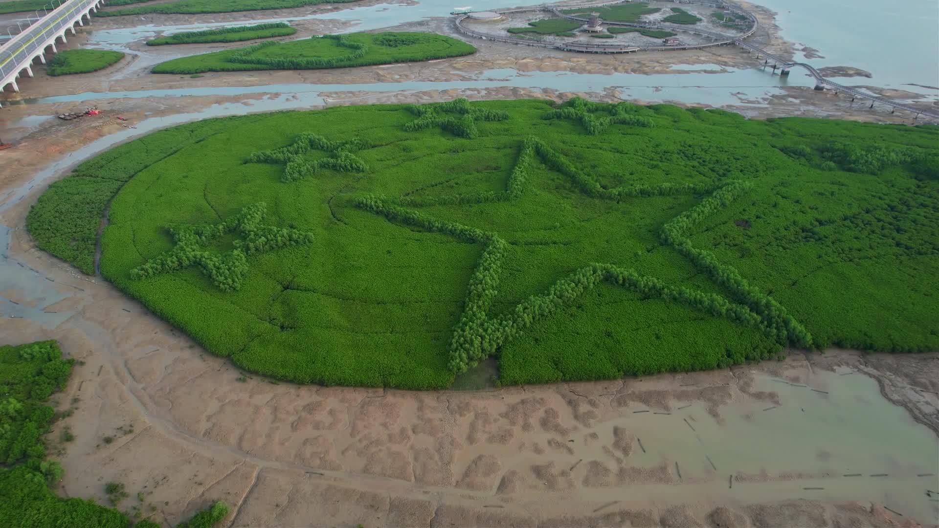 厦门航拍下潭尾湿地公园景观视频的预览图