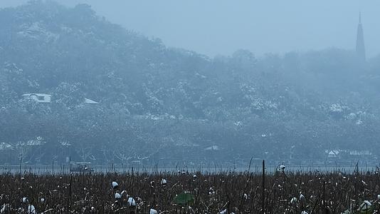 杭州宝石山景区保俶塔雪景视频的预览图