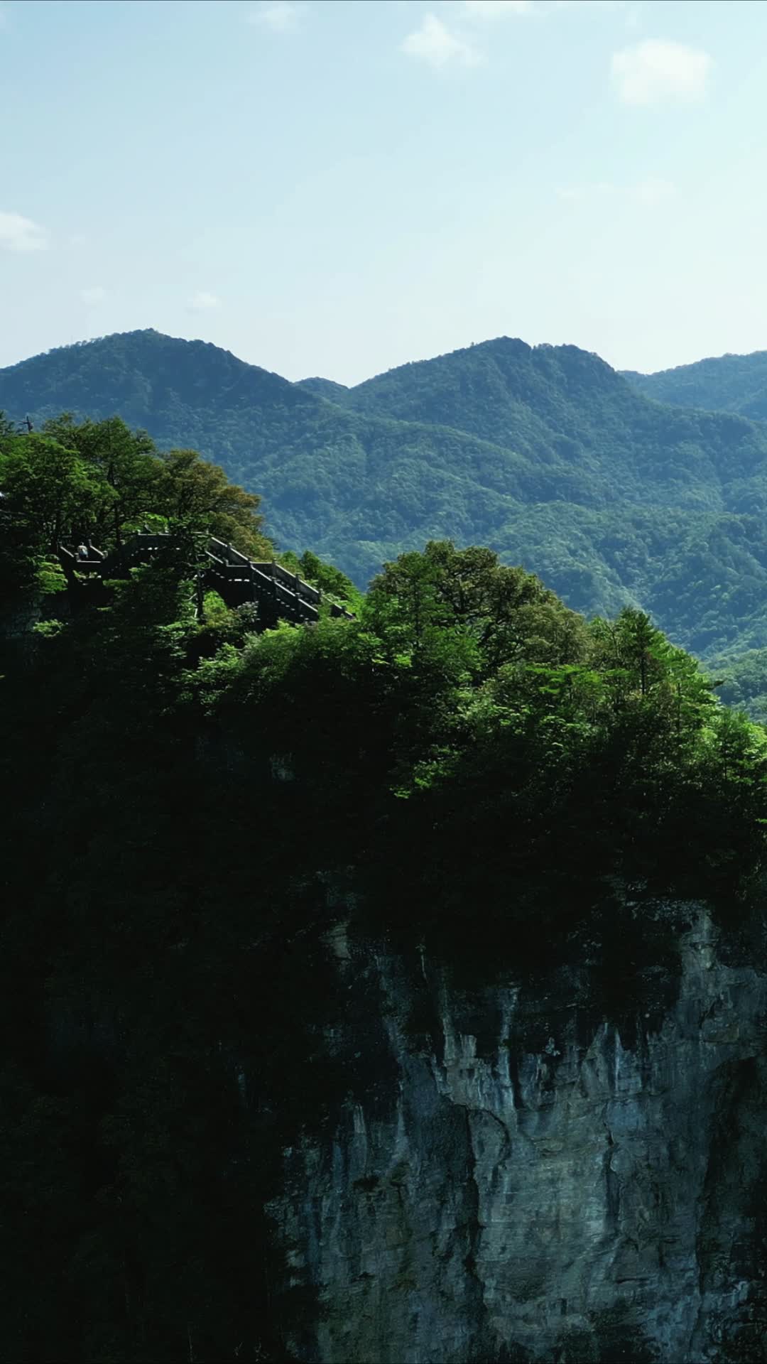 航拍湖北神农架原始森林视频的预览图