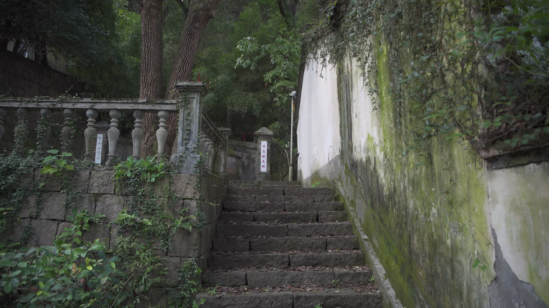 杭州宝石山景区陈文龙墓视频的预览图