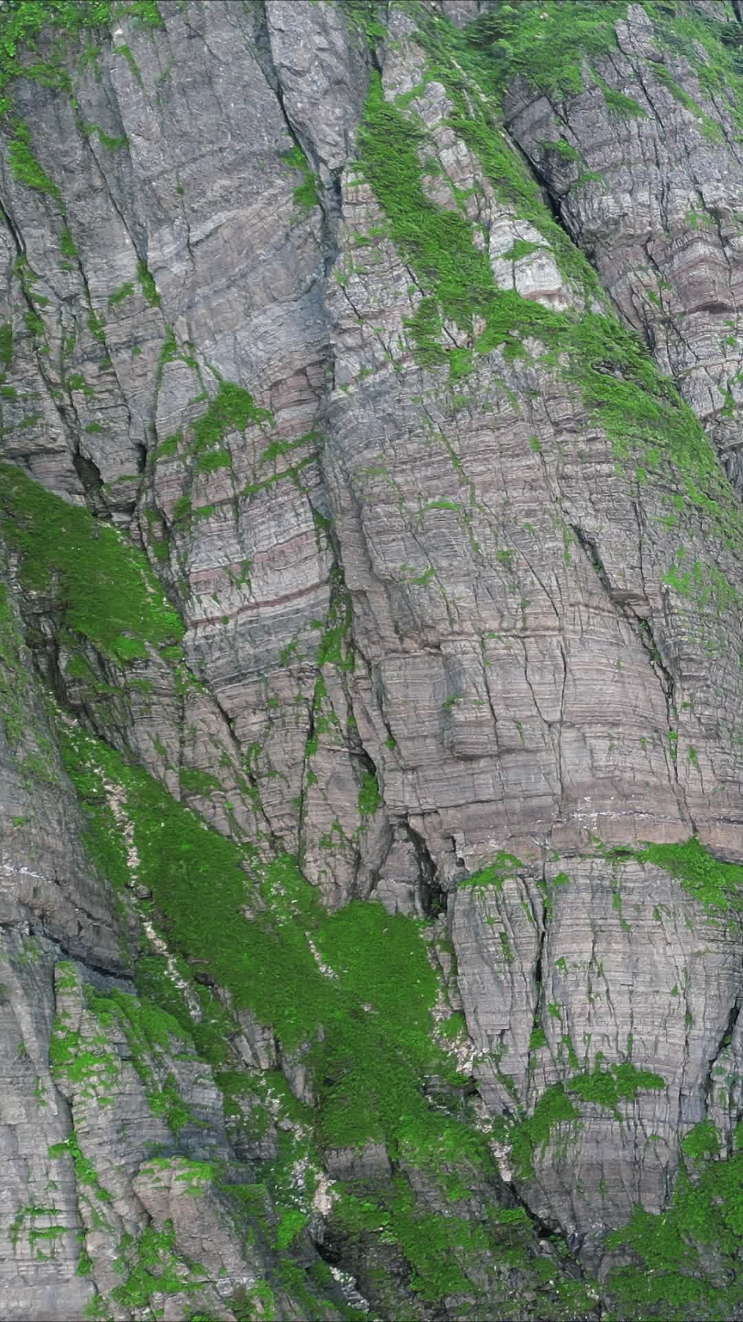 航拍湖北神农架5A景区石林视频的预览图