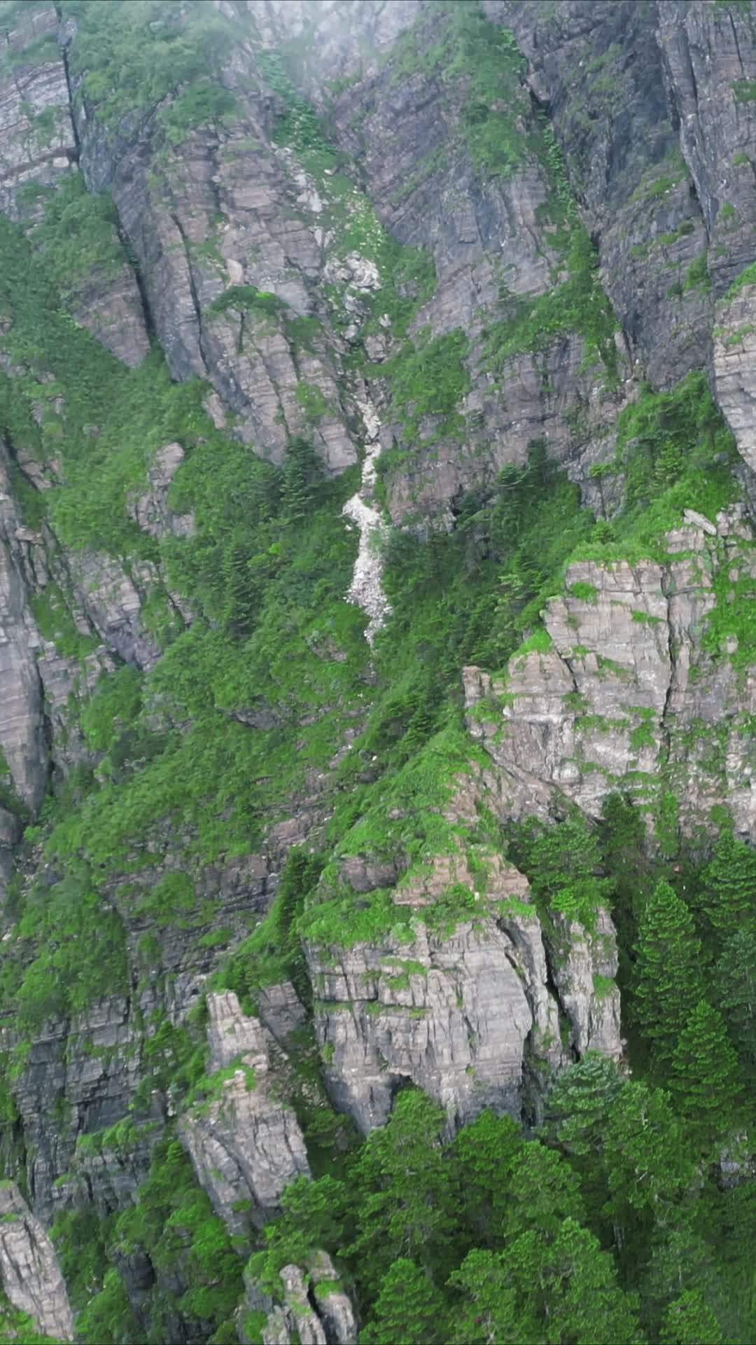 湖北神农架石林风景区航拍视频的预览图