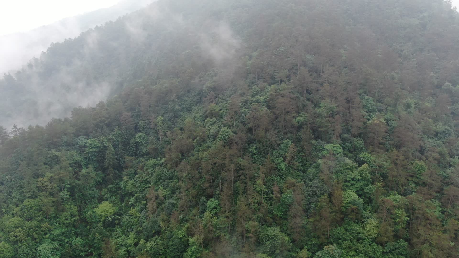航拍大自然清晨山间云雾缭绕视频的预览图