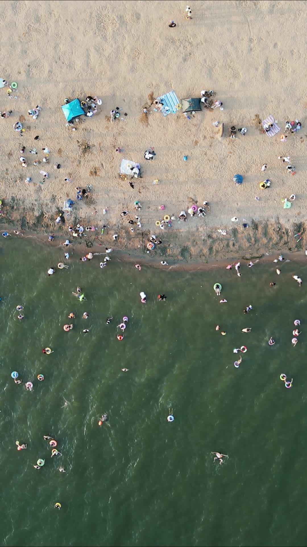 航拍夏日清爽河边游泳的人群视频的预览图