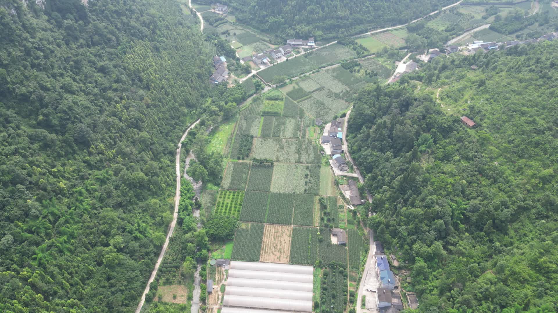 航拍山谷里的农村农业种植视频的预览图