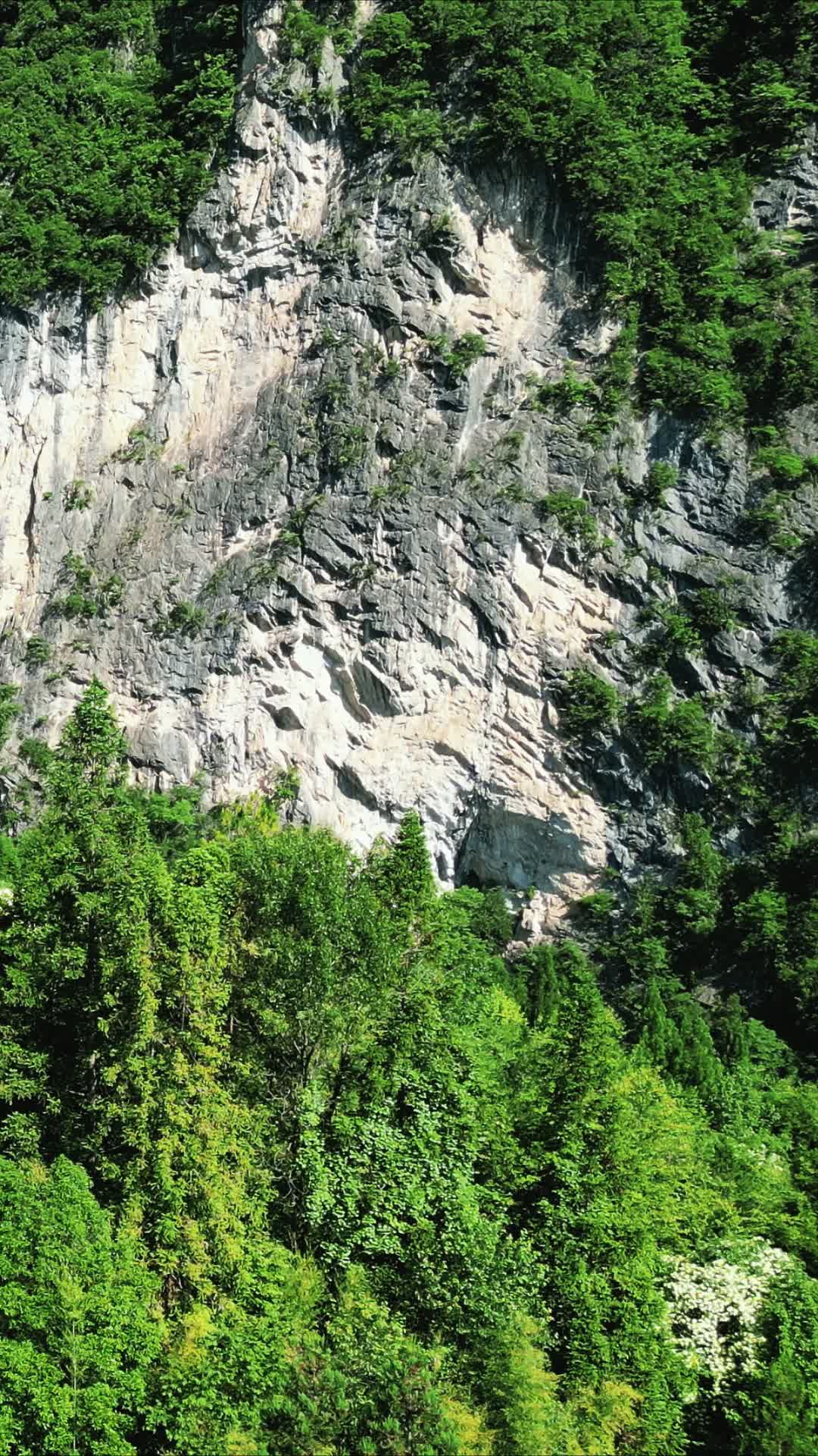 湖北神农架悬崖峭壁竖屏航拍视频的预览图