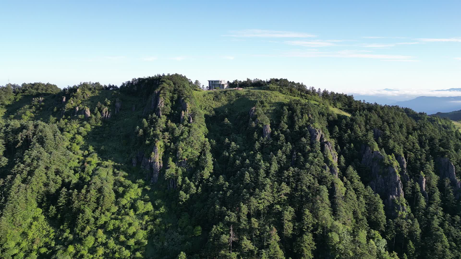 航拍湖北神农架林区原始森林视频的预览图