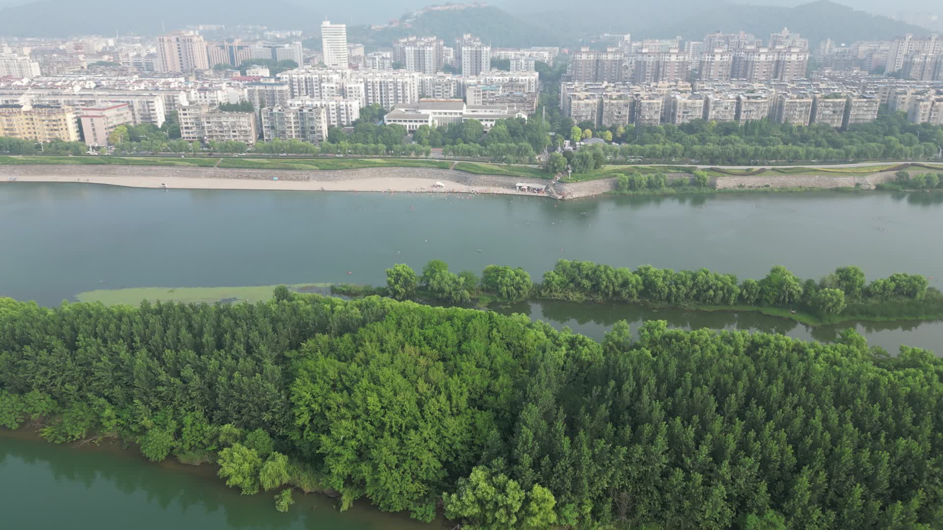 湖北襄阳汉江江中岛屿植物航拍视频的预览图