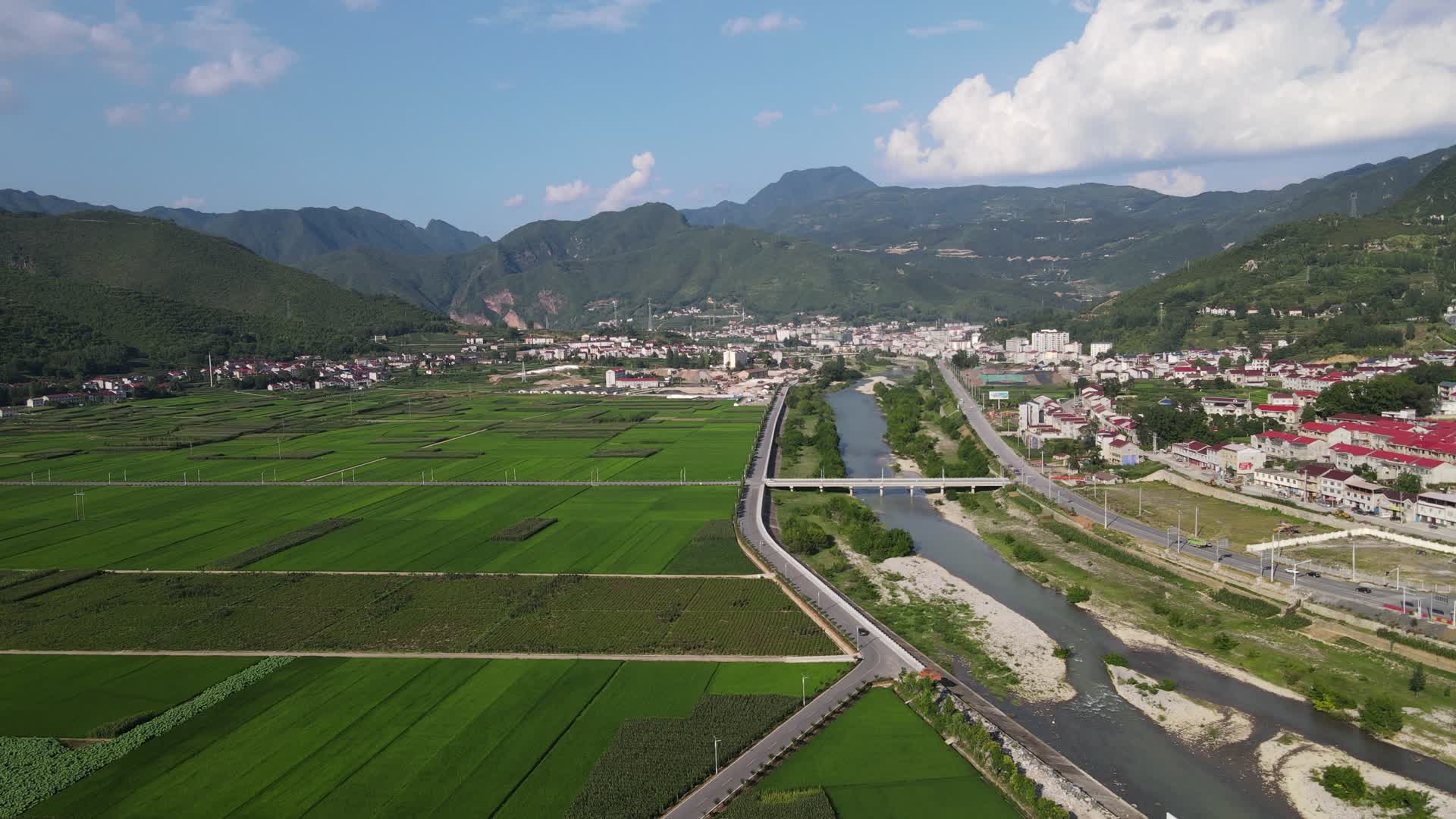 航拍农业种植大片稻田视频的预览图