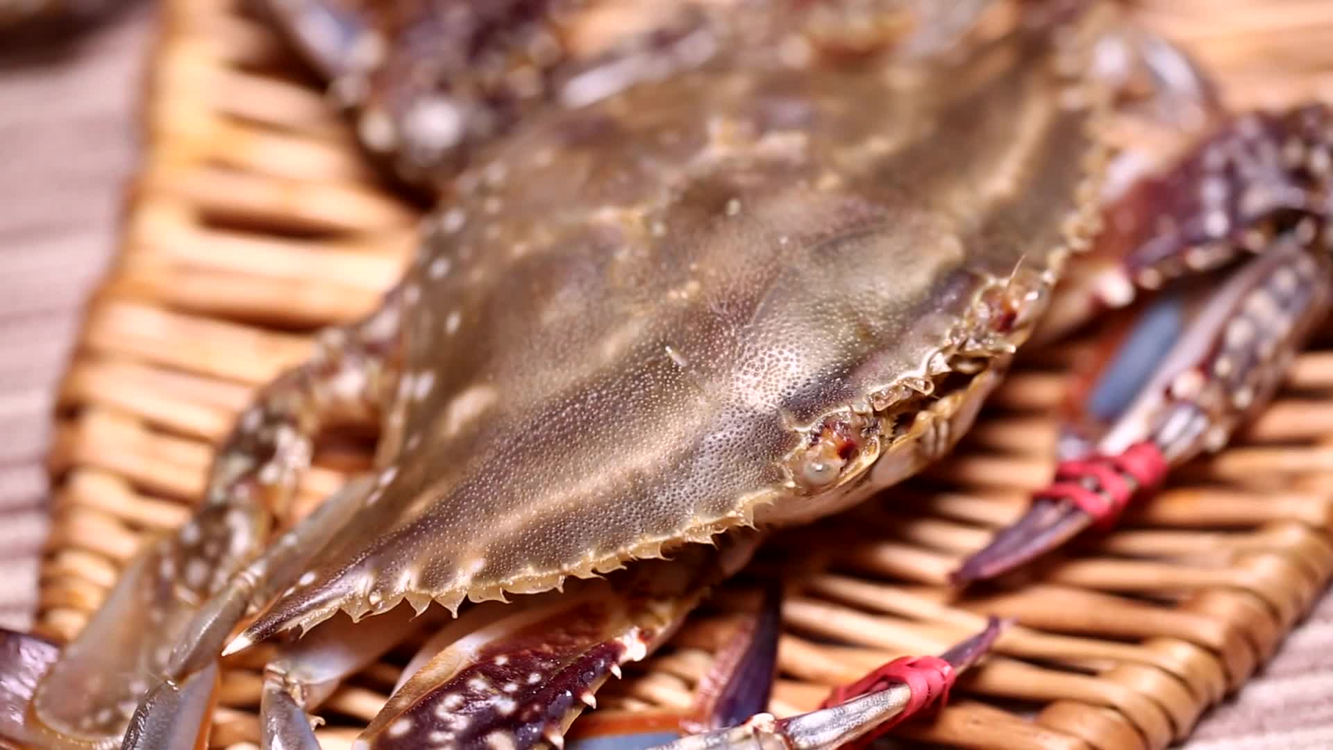 镜头合集飞蟹海蟹螃蟹梭子蟹视频的预览图