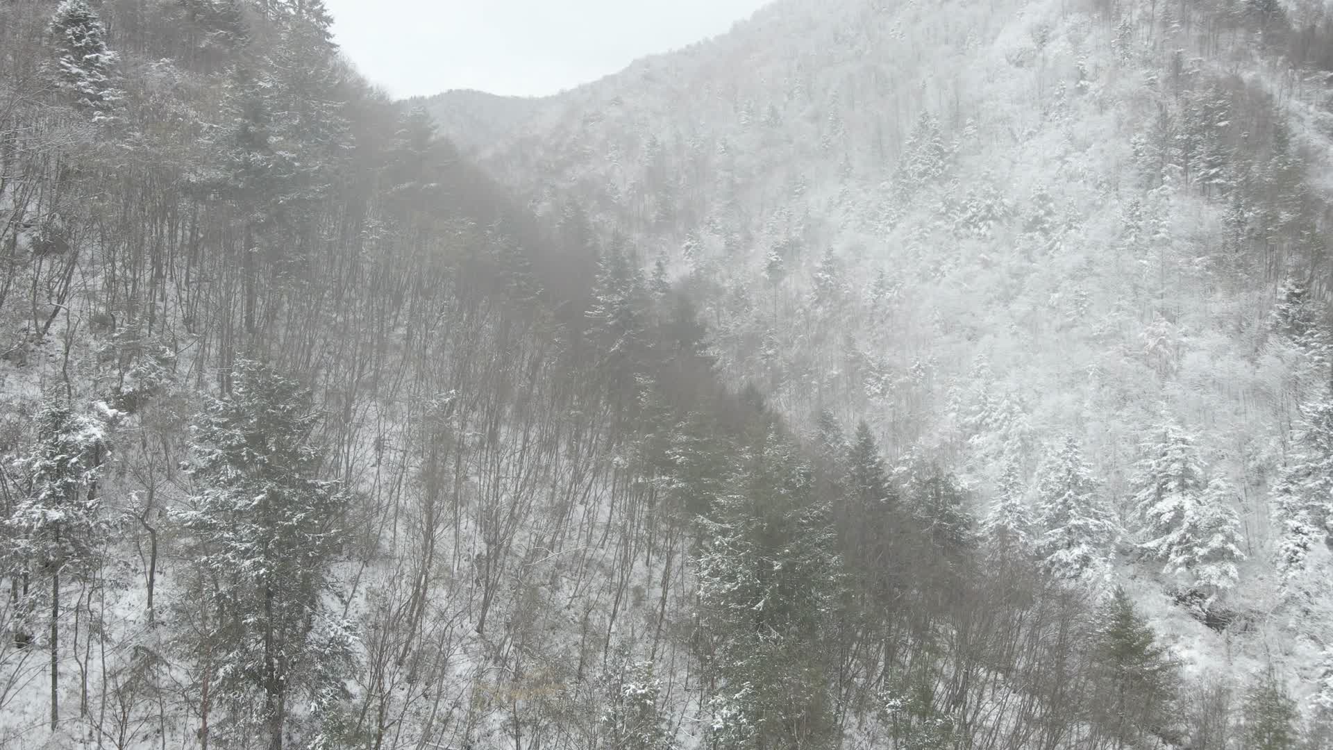 山区雪景航拍视频的预览图