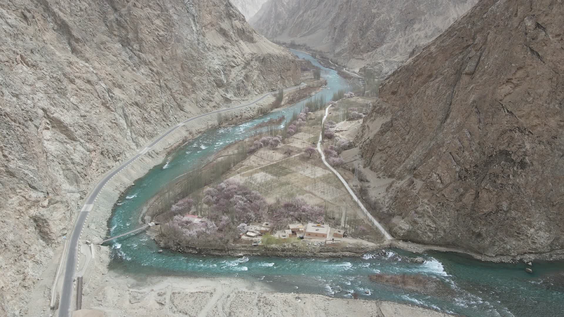 新疆塔尔乡杏花村视频的预览图