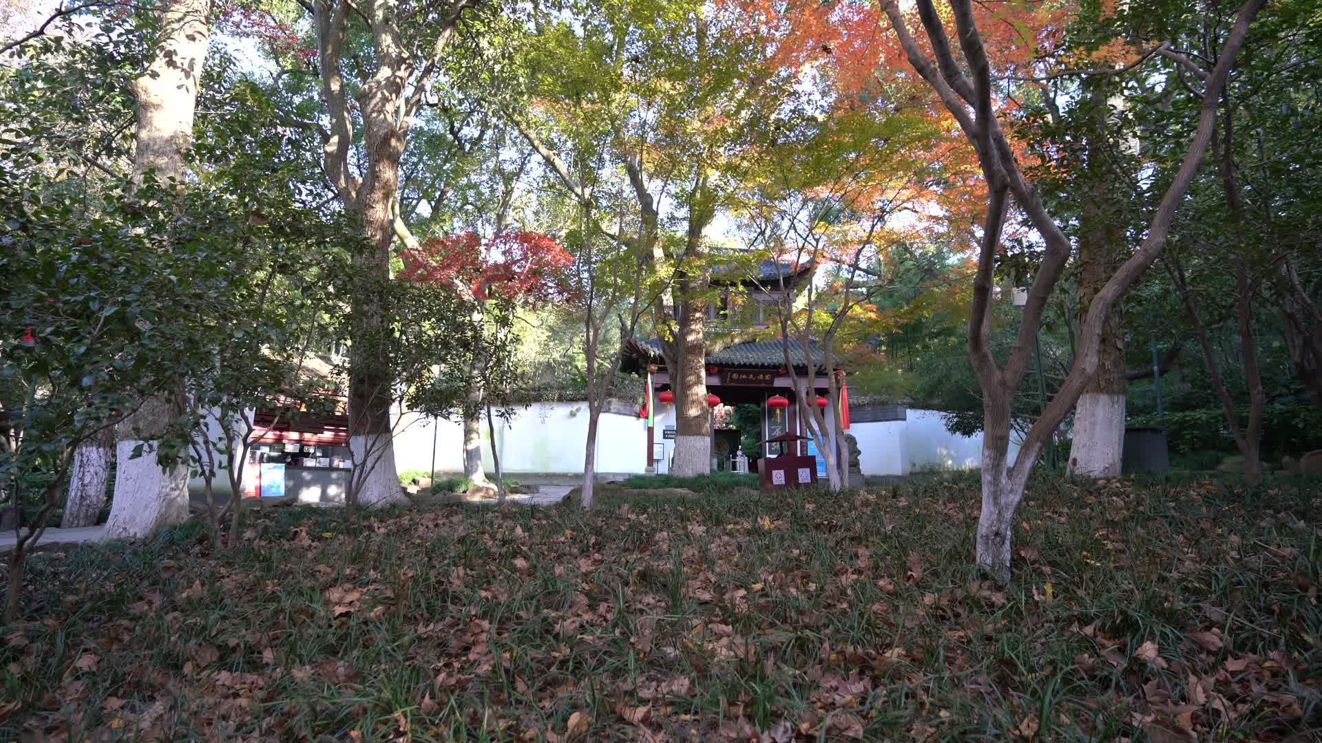 杭州西湖景区黄龙洞视频的预览图