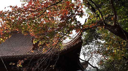 杭州西湖区北高峰法华寺禅院视频的预览图