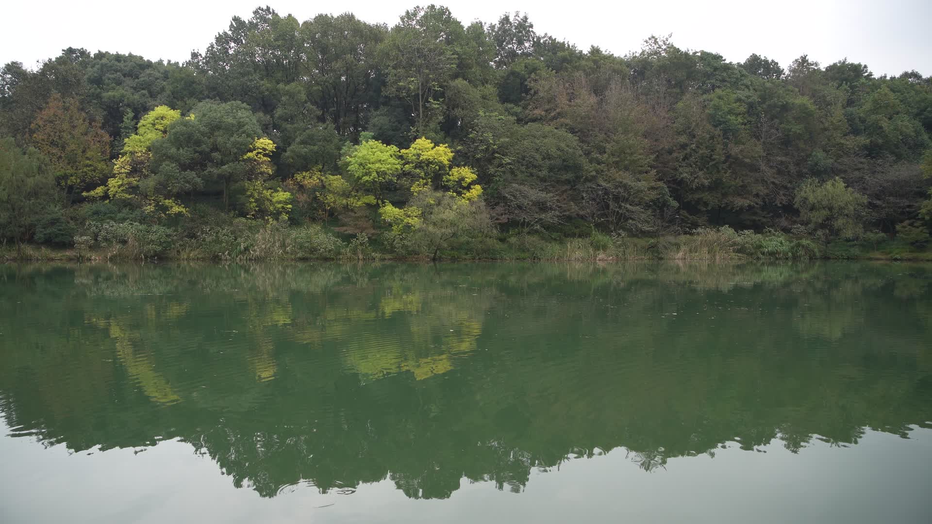 杭州三台山景区乌龟潭风景视频的预览图