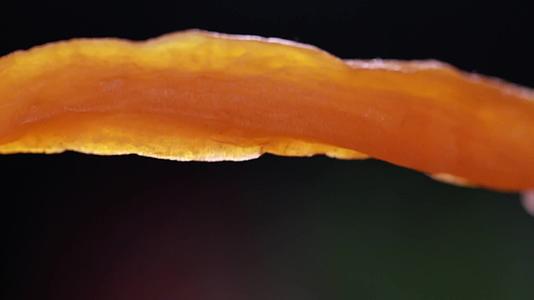 镜头合集柔软的地瓜干红薯干视频的预览图