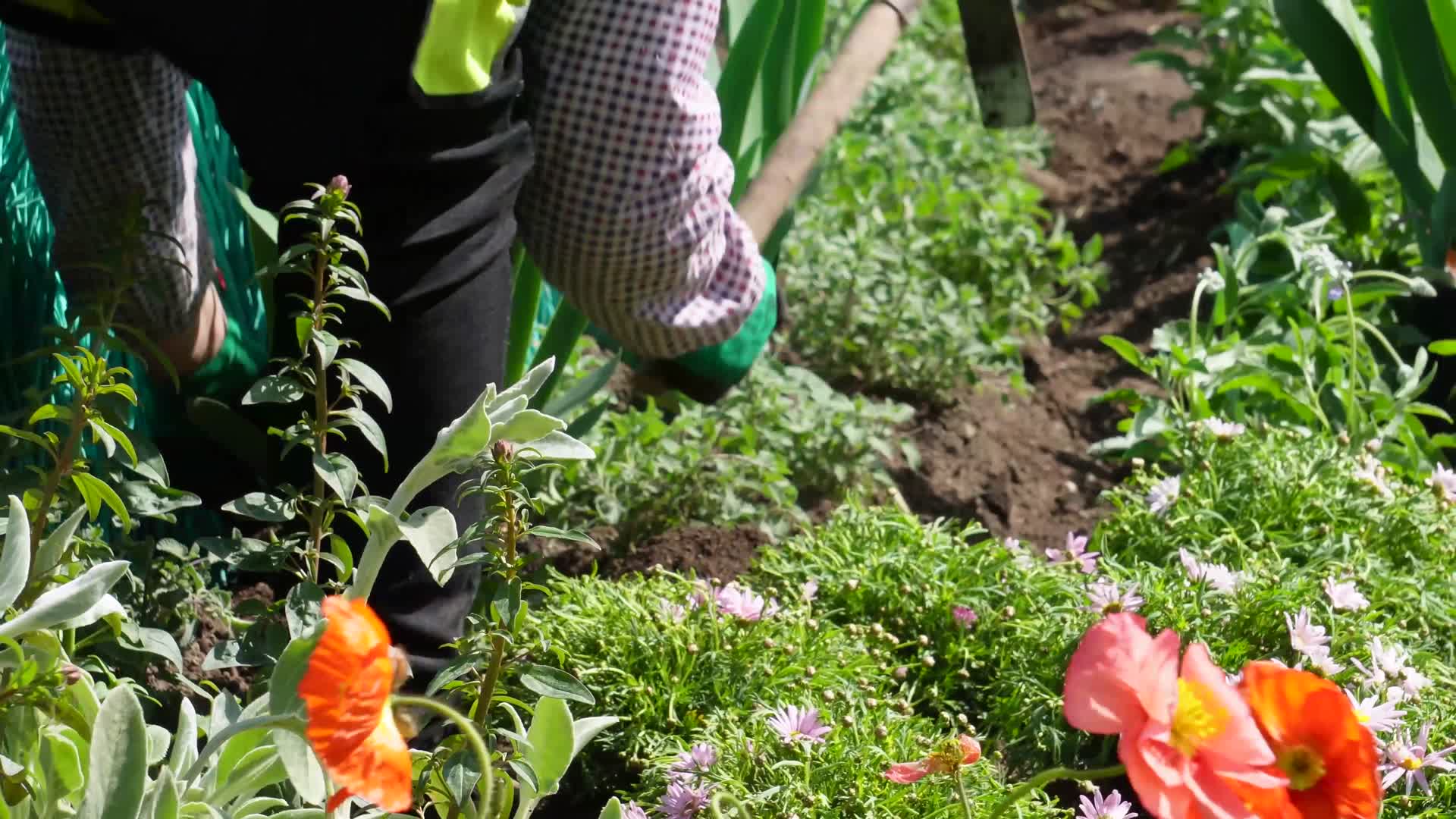 镜头合集园丁环卫工人种花栽花绿化视频的预览图