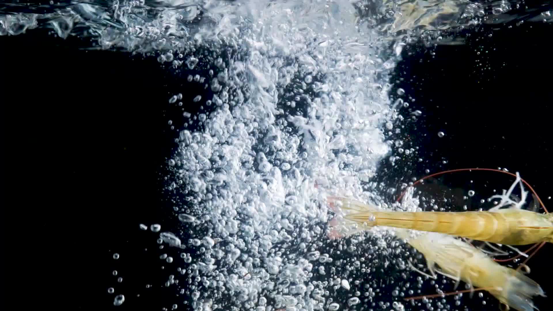 基围虾虾大虾大虾飞溅视频的预览图