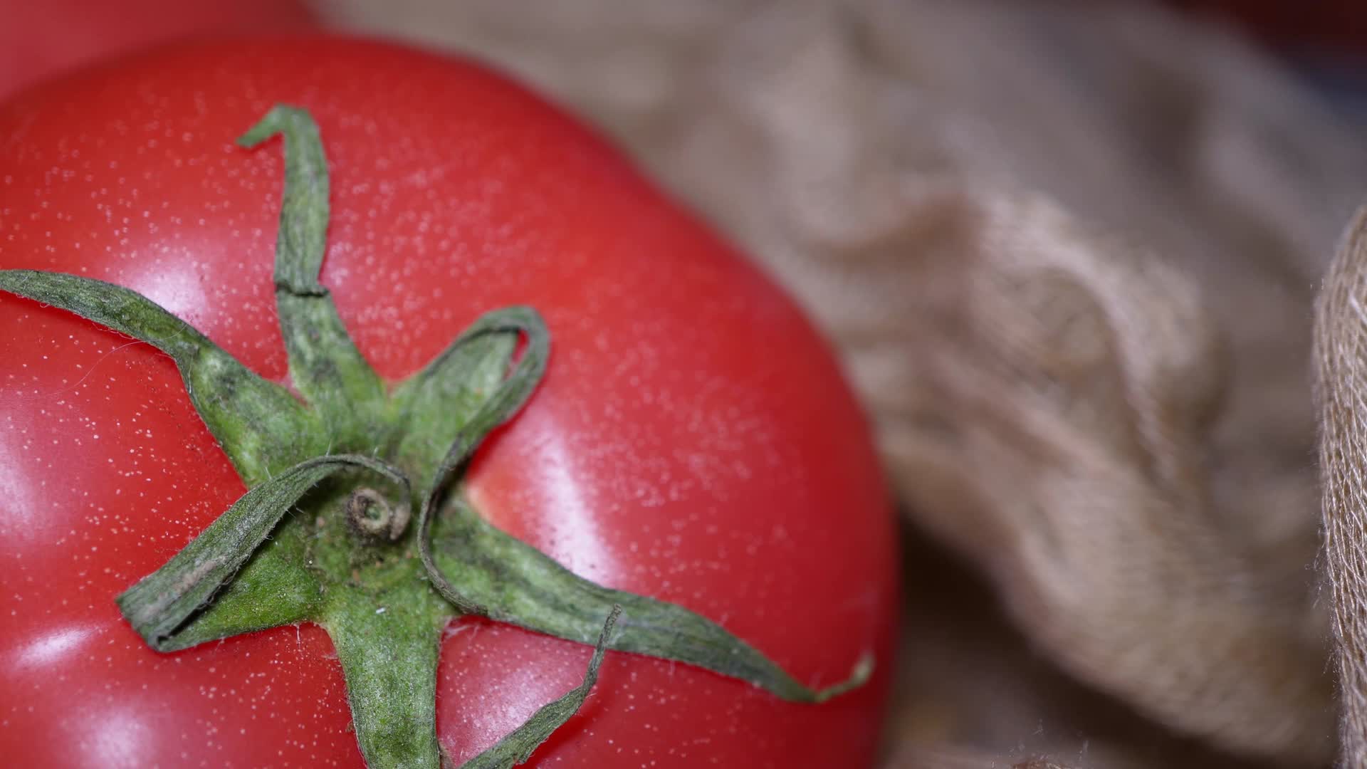 普罗旺斯西红柿番茄视频的预览图