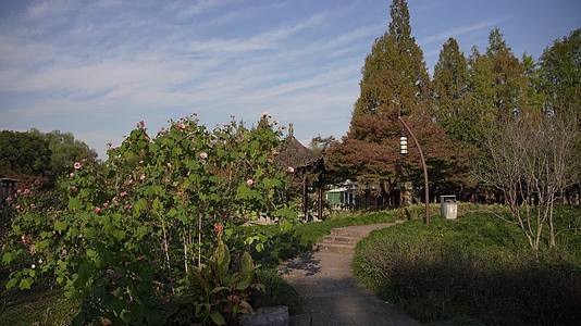 杭州西湖景区杭州花圃视频的预览图
