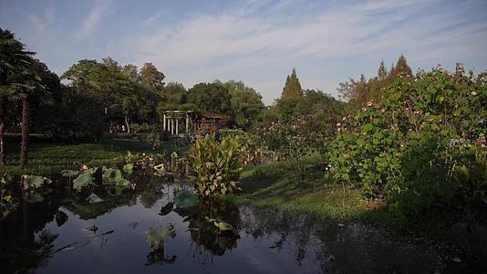 杭州西湖景区杭州花圃视频的预览图