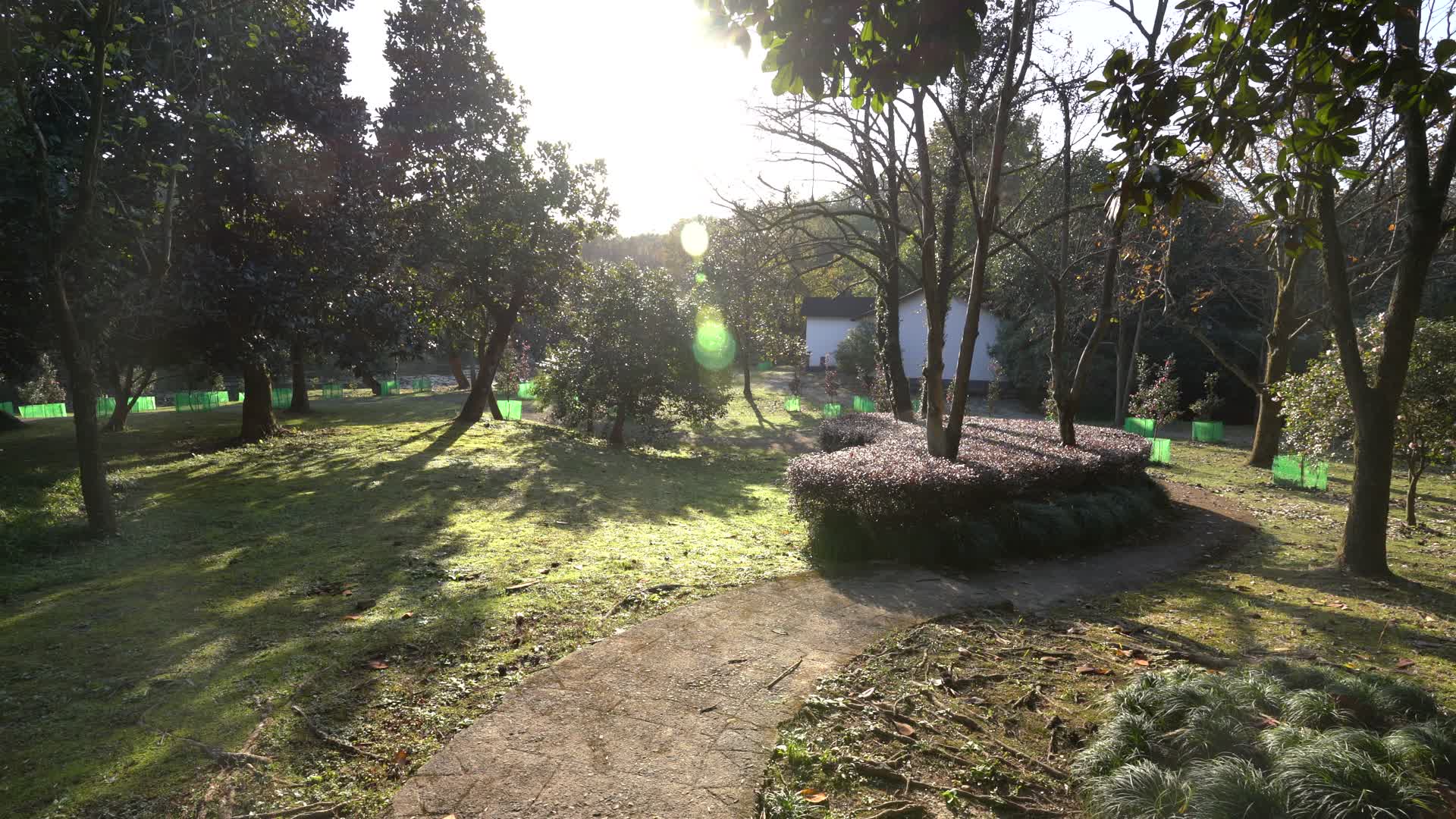 杭州西湖景区杭州植物园视频的预览图