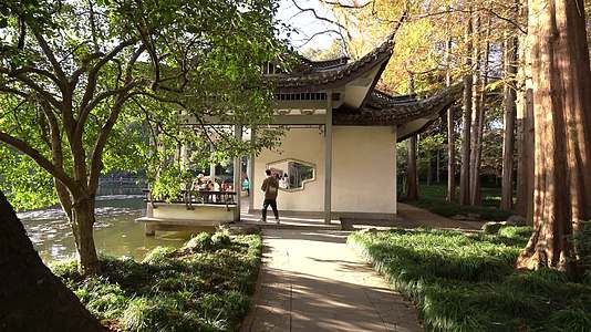 杭州西湖景区杭州植物园视频的预览图
