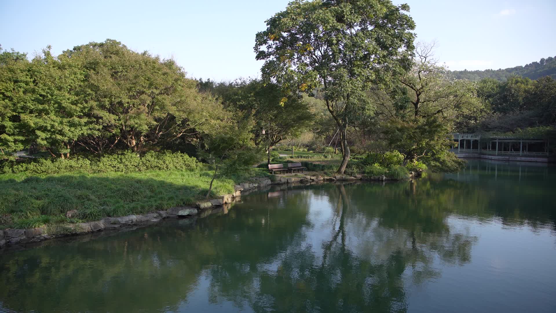 杭州西湖花港观鱼视频的预览图