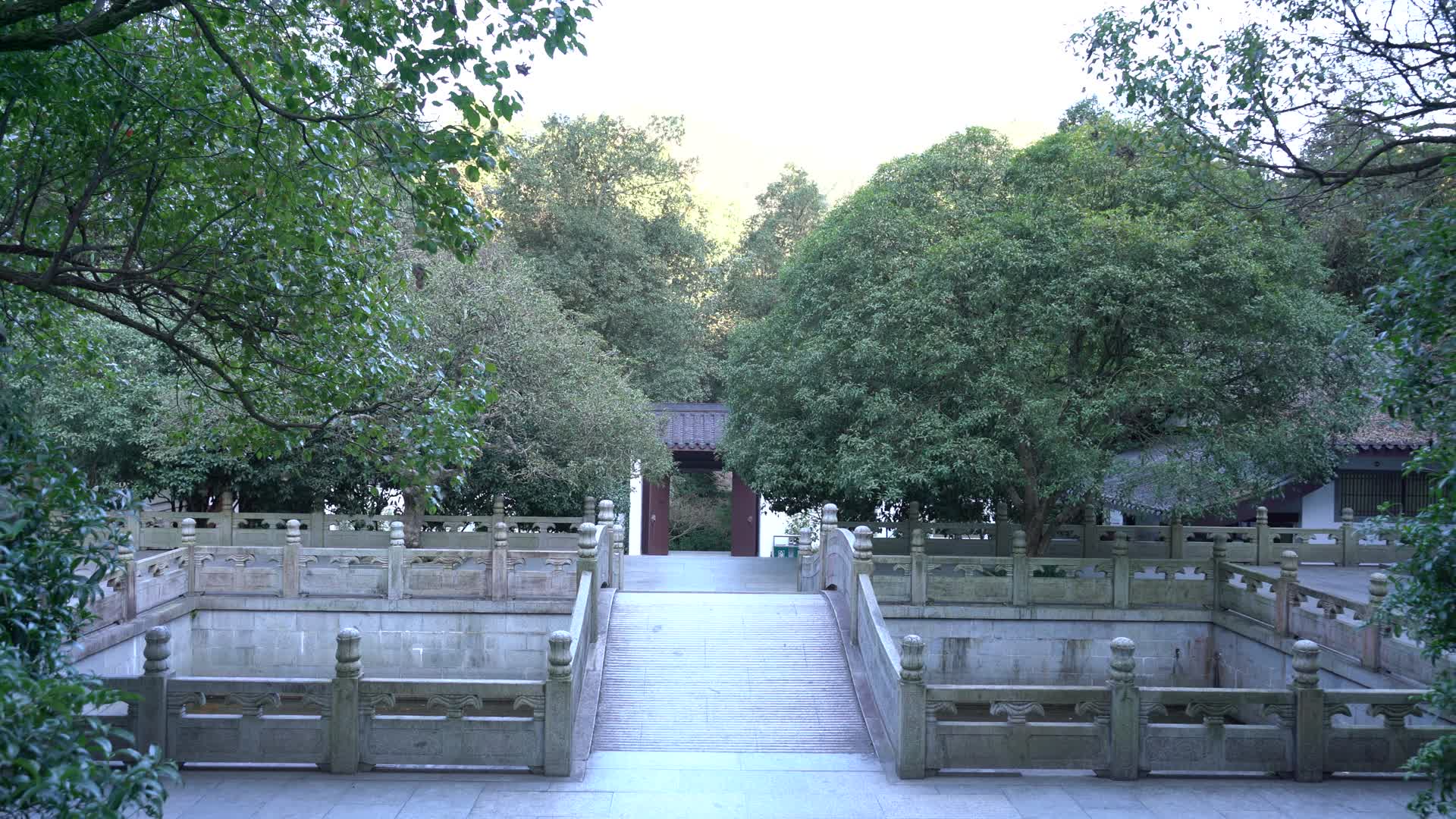 杭州九溪风景区理安寺视频的预览图