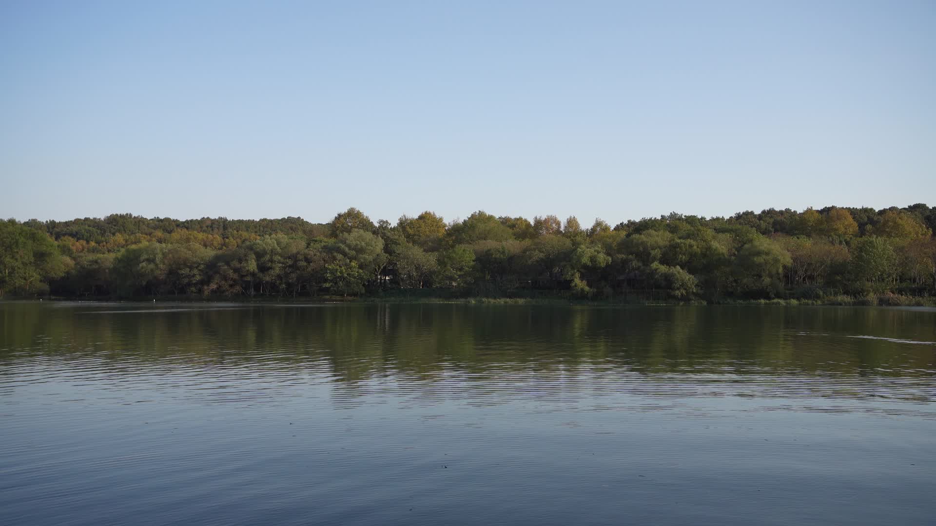 杭州西湖风景区茅家埠视频的预览图