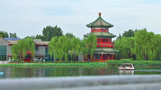夏天北京后海划船旅游湖景风景实拍视频视频的预览图