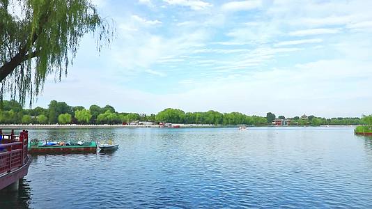 夏天北京后海景色湖水旅游划船实拍视频视频的预览图
