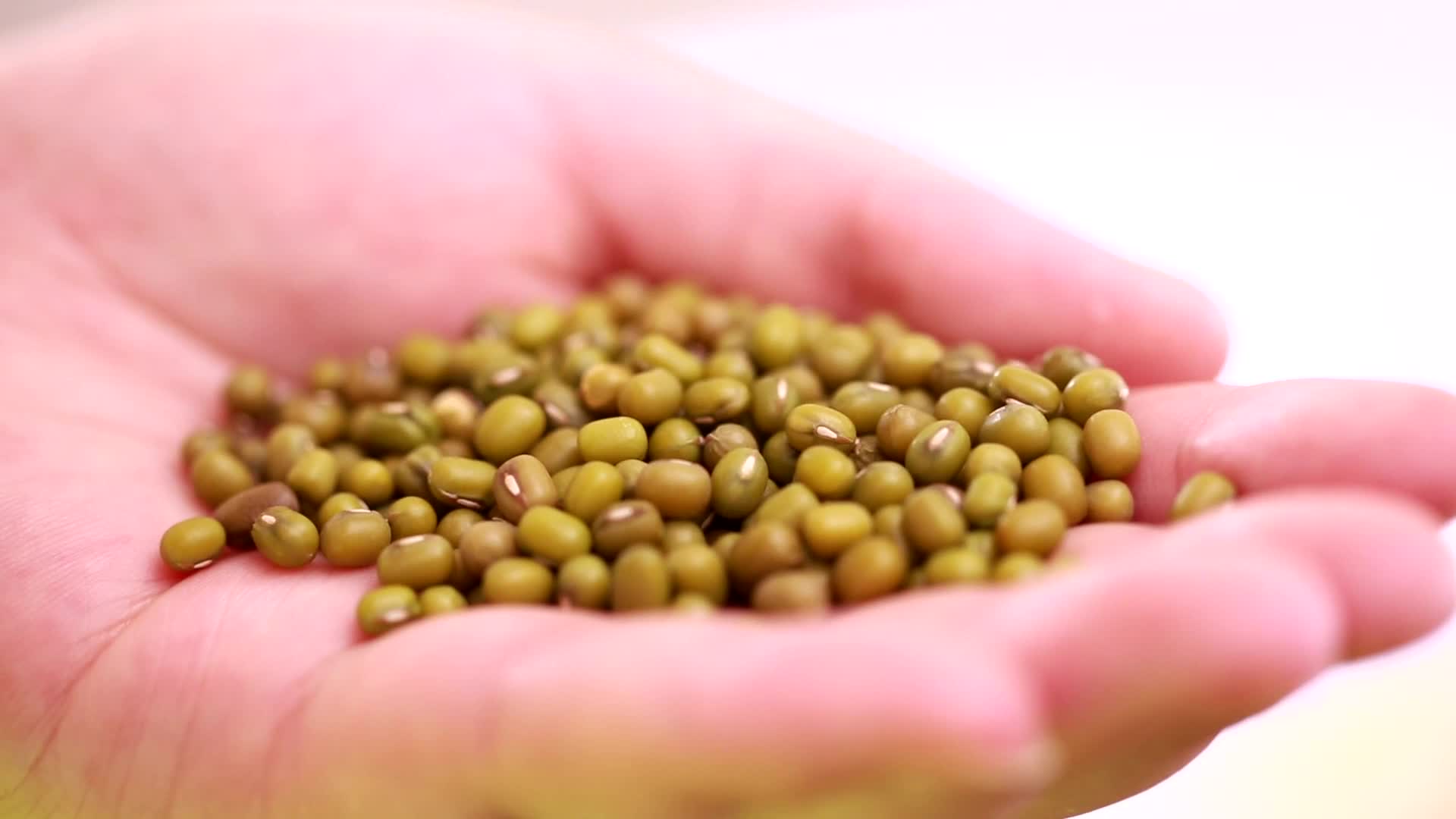 镜头合集清洗绿豆挑选绿豆视频的预览图